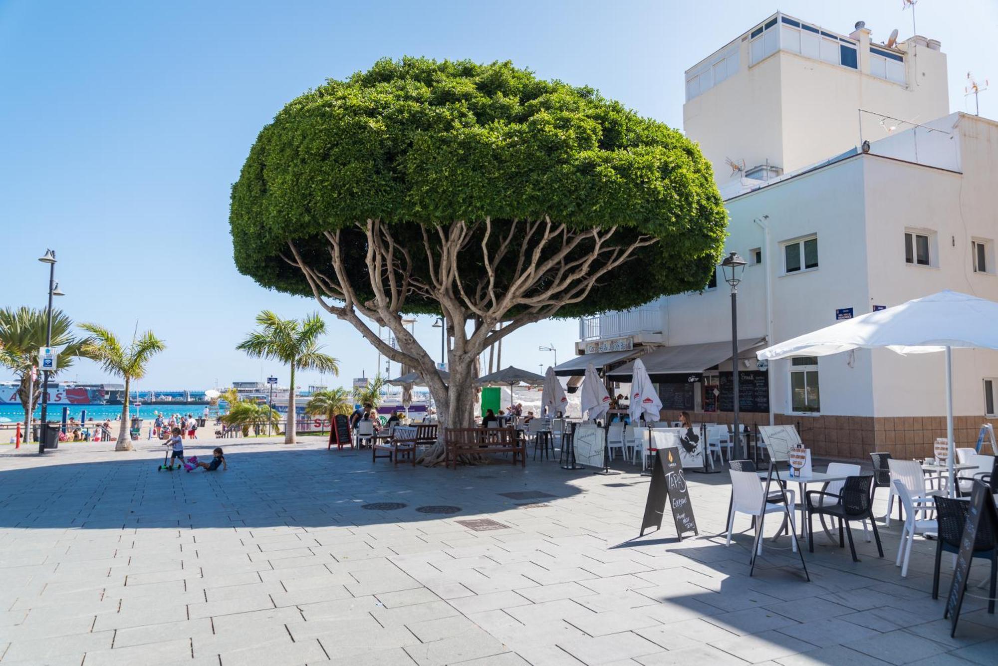 Modern Apartments Los Cristianos Center Экстерьер фото